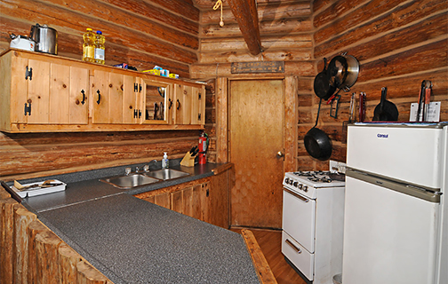 Dowswell-Halleys_Camps-Cabin002b